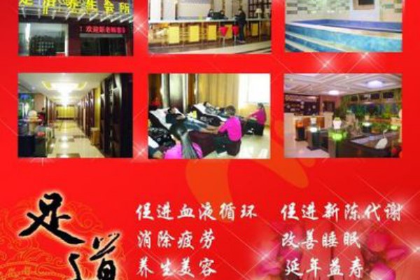 成都文化公园养生茶座，悠然品茗好去处(成都文化公园喝茶)